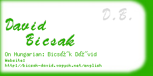 david bicsak business card